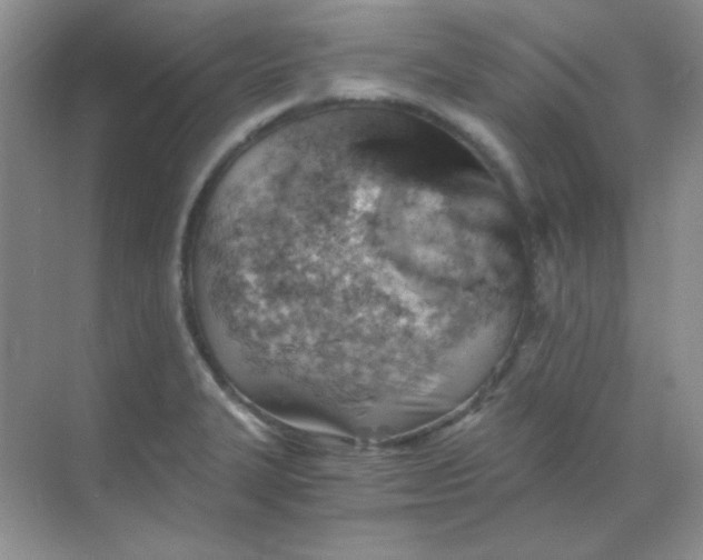 X0000068851327200605191941