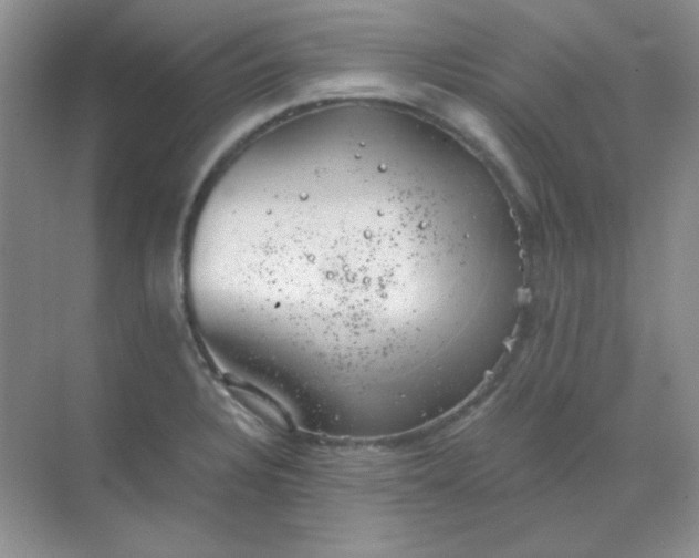 X0000068851328200605191941