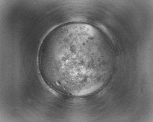 X0000068851331200605191941