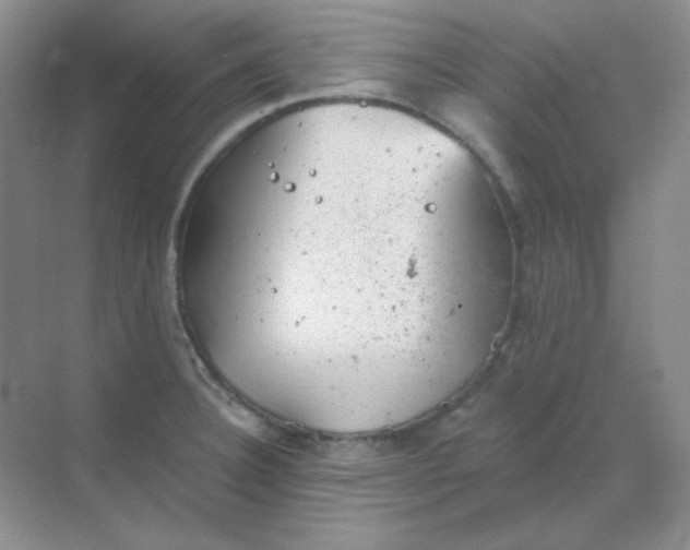 X0000068851332200605191941