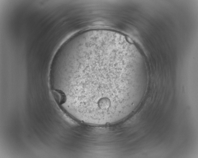 X0000068851333200605191941