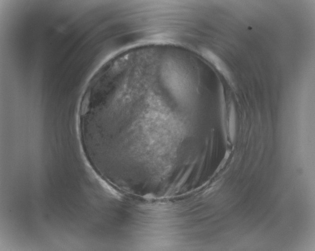 X0000068851334200605191941