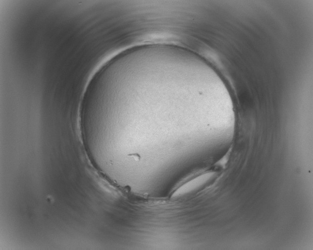 X0000068851336200605191941