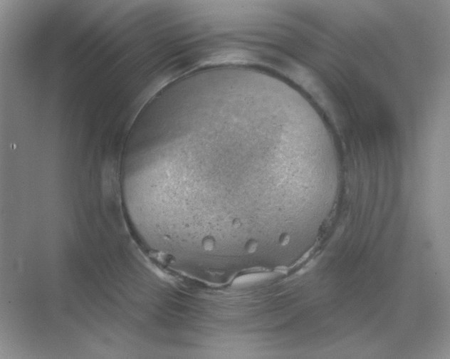 X0000068851337200605191941