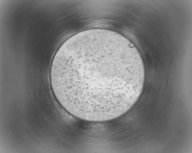 X0000068851338200605191941