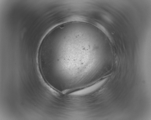 X0000068851339200605191941