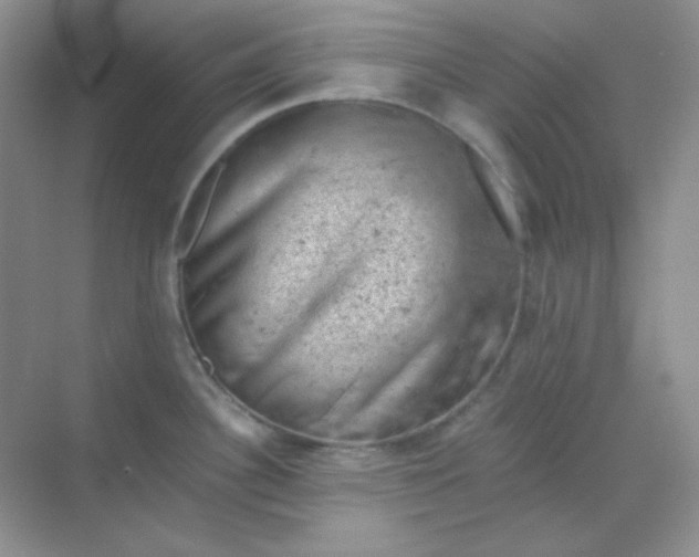 X0000068851340200605191941