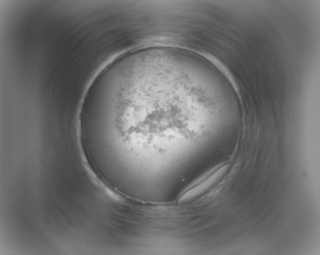 X0000068851341200605191941