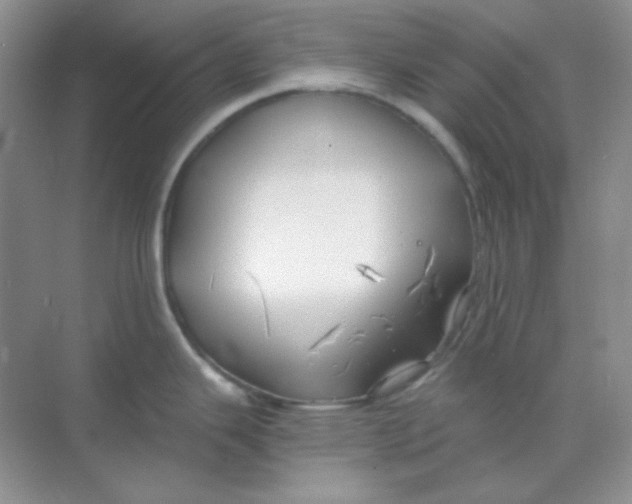 X0000068851343200605191941