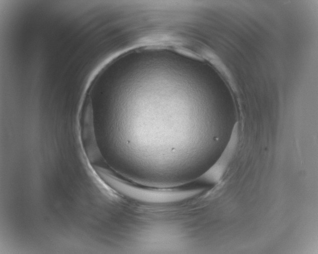 X0000068851344200605191941