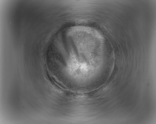 X0000068851345200605191941