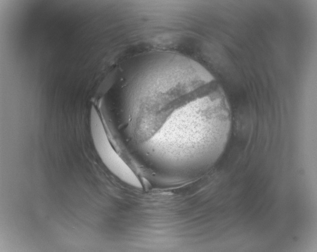 X0000068851346200605191941