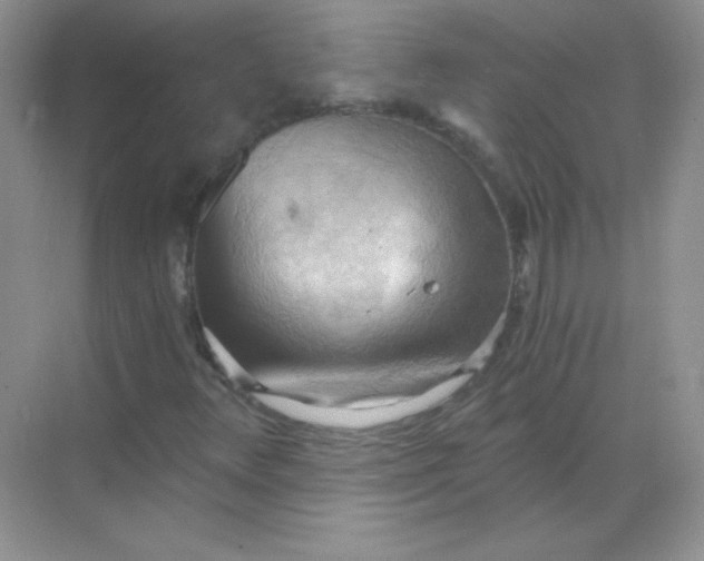 X0000068851348200605191941