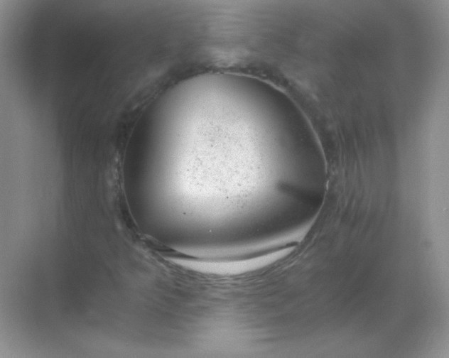 X0000068851349200605191941