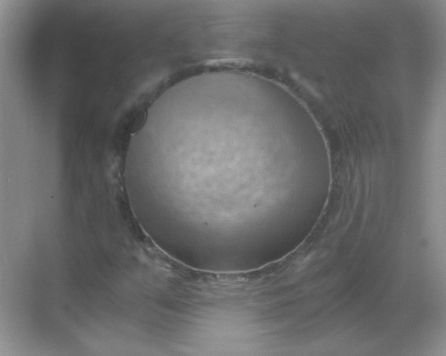 X0000068851351200605191941