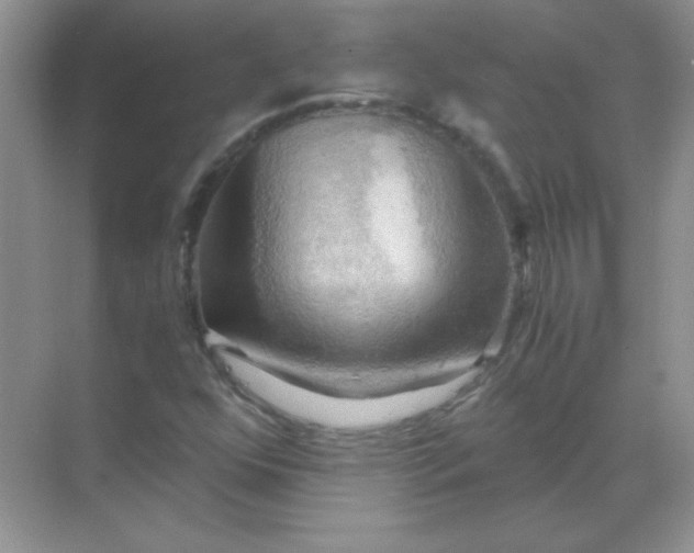 X0000068851352200605191941