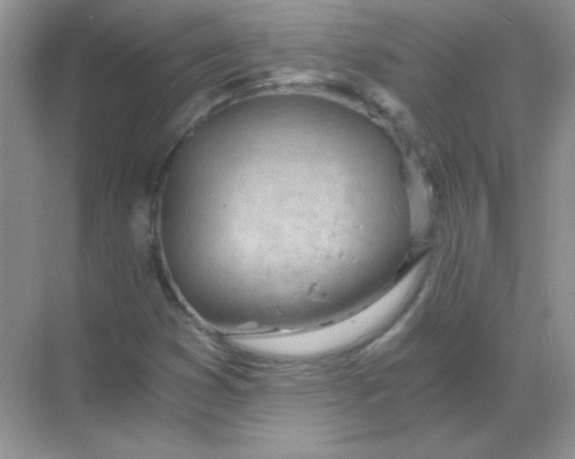 X0000068851353200605191940