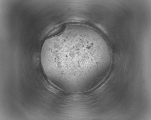 X0000068851355200605191940