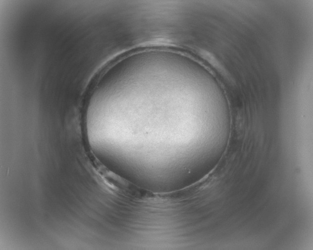 X0000068851356200605191940