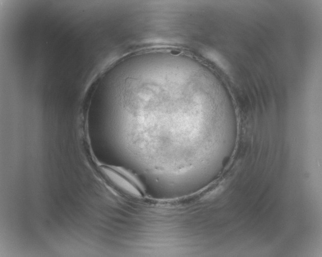 X0000068851357200605191940