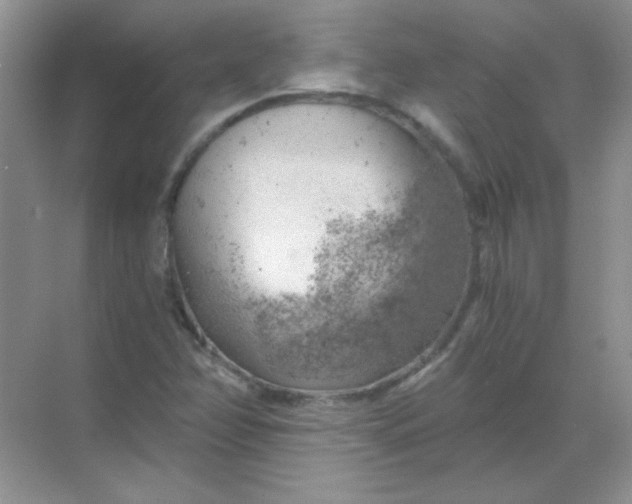 X0000068851358200605191940