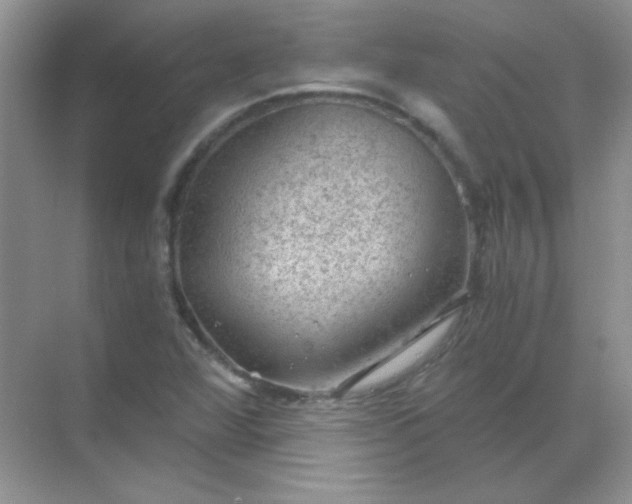 X0000068851360200605191940