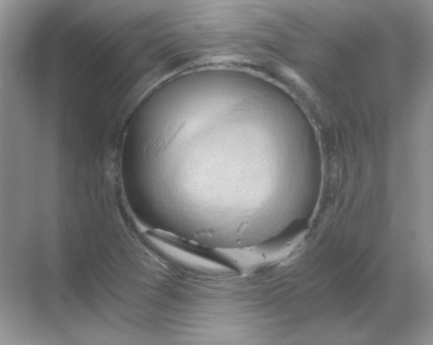 X0000068851361200605191940