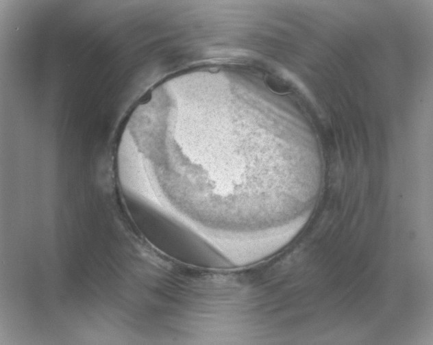 X0000068851362200605191940