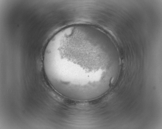 X0000068851363200605191940