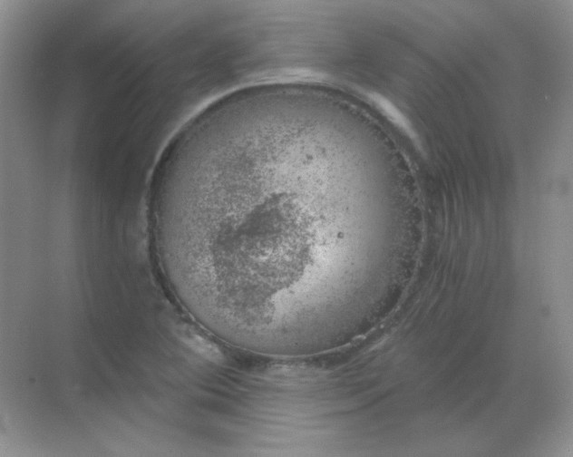 X0000068851364200605191940