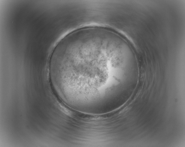 X0000068851367200605191940