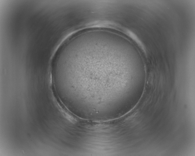 X0000068851368200605191940