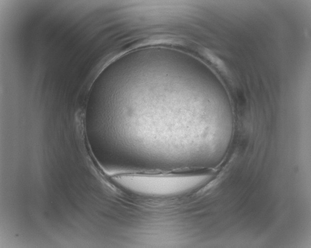 X0000068851369200605191940