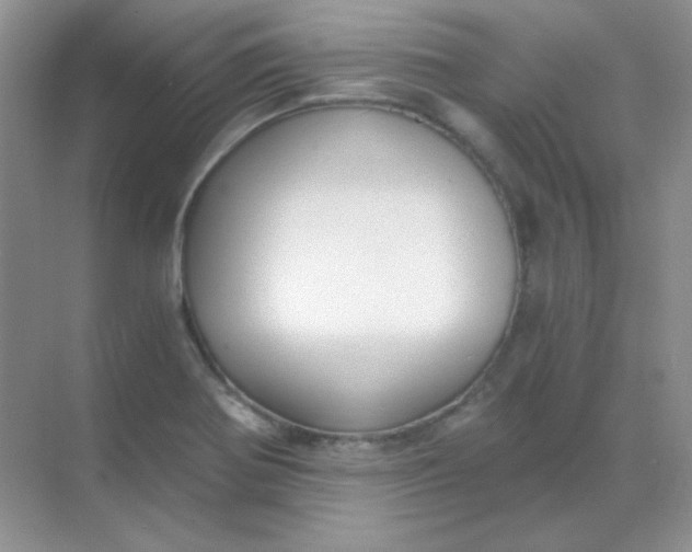 X0000068851370200605191940