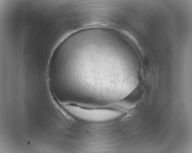 X0000068851373200605191940