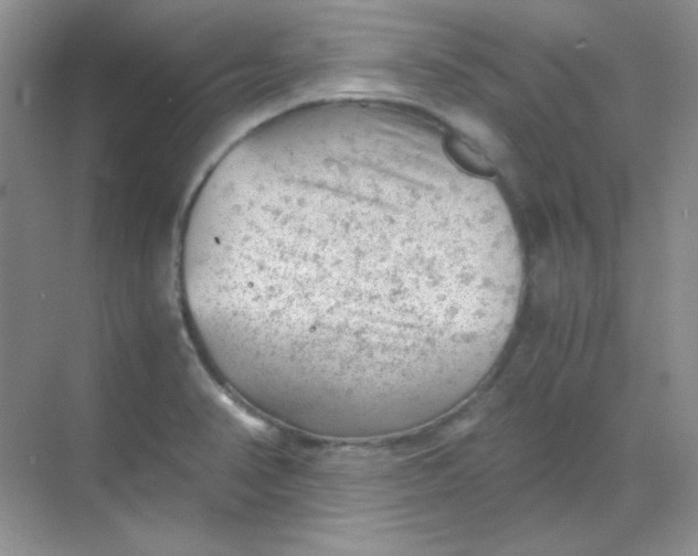 X0000068851374200605191940