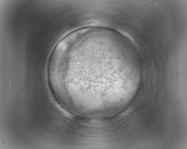 X0000068851375200605191940