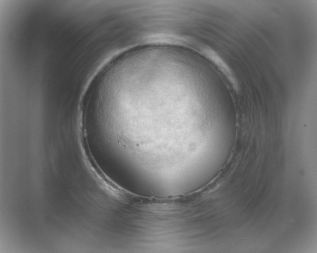 X0000068851376200605191940