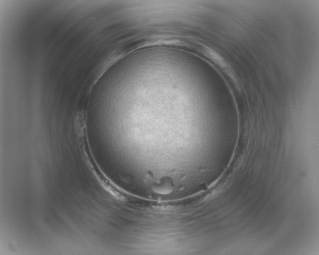 X0000068851377200605191940