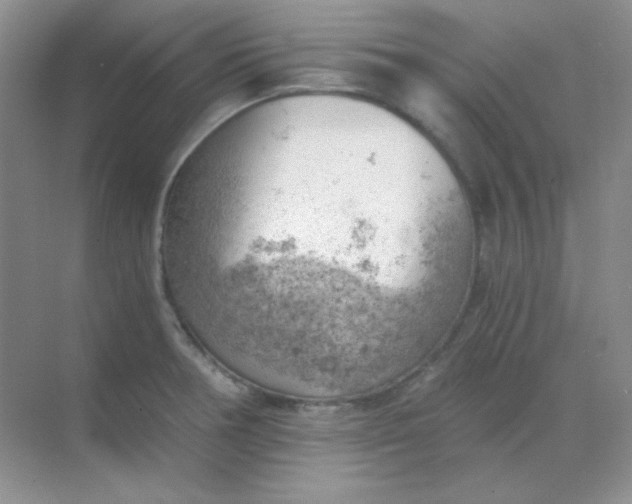 X0000068851378200605191940