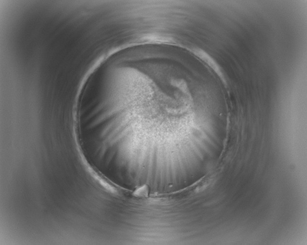 X0000068851381200605191940