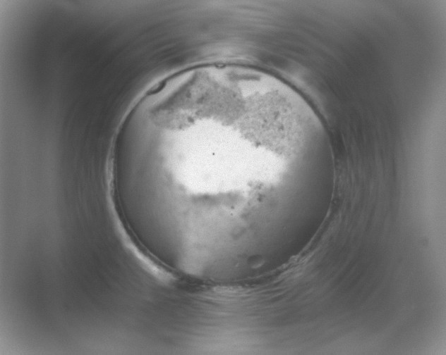 X0000068851383200605191940