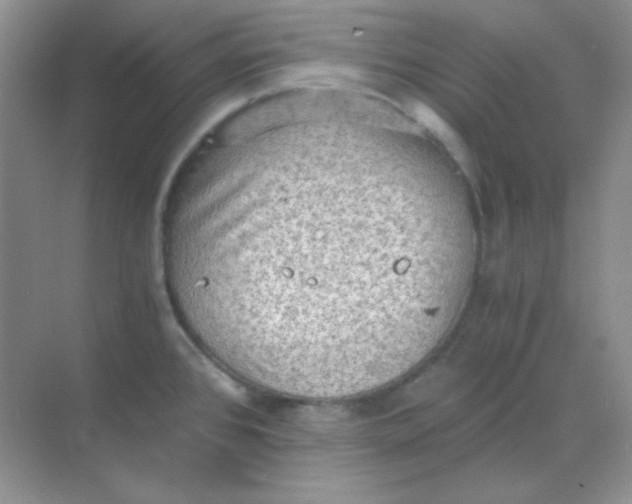 X0000068851384200605191940