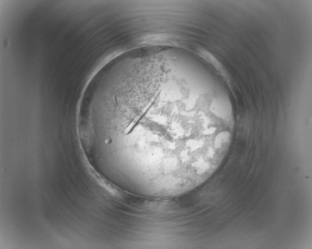 X0000068851386200605191940