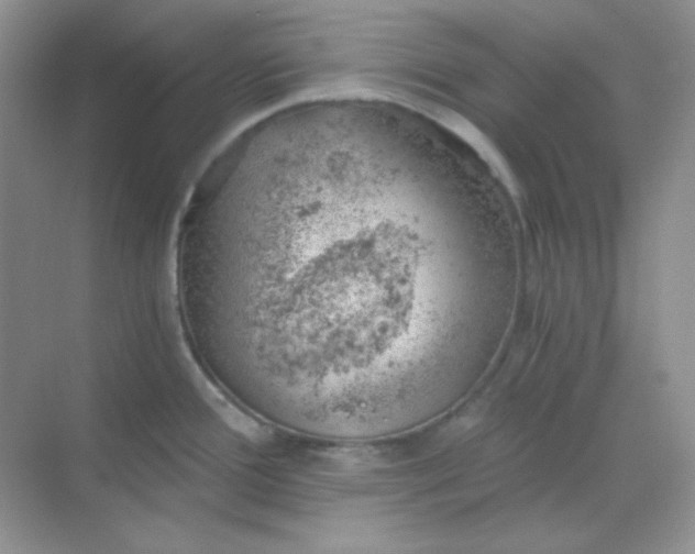 X0000068851388200605191940