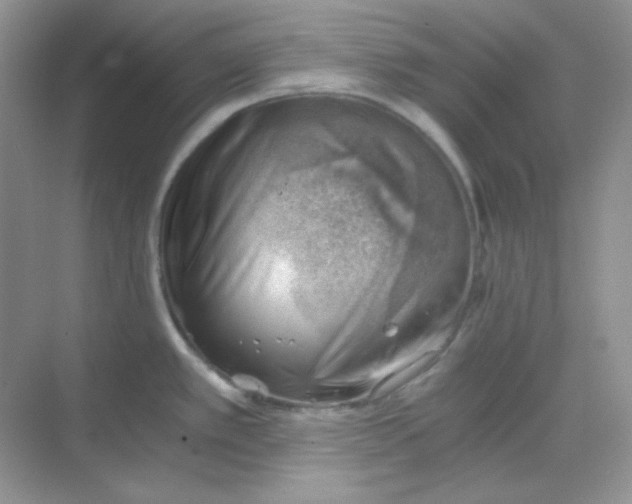 X0000068851389200605191940