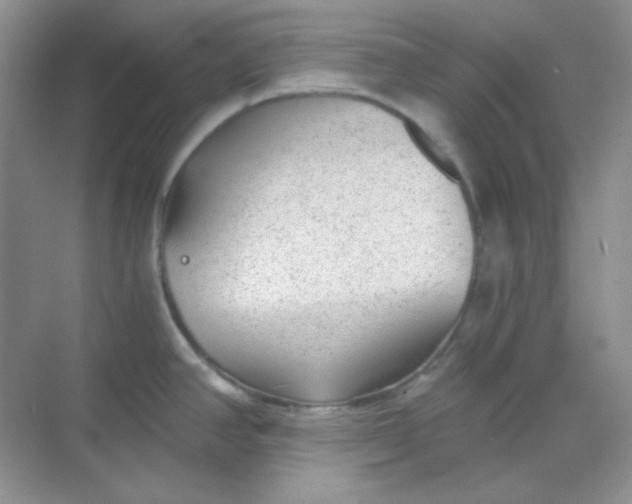 X0000068851390200605191940