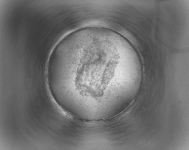 X0000068851392200605191940