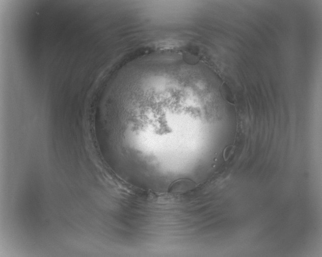 X0000068851393200605191939