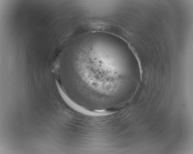 X0000068851394200605191939